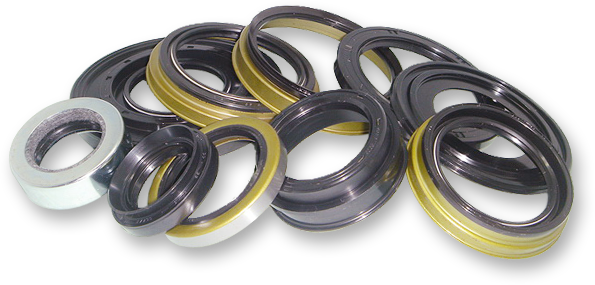HUO SHIN ENTERPRISE CO., Dragon Plus Industrial Co., Ltd.